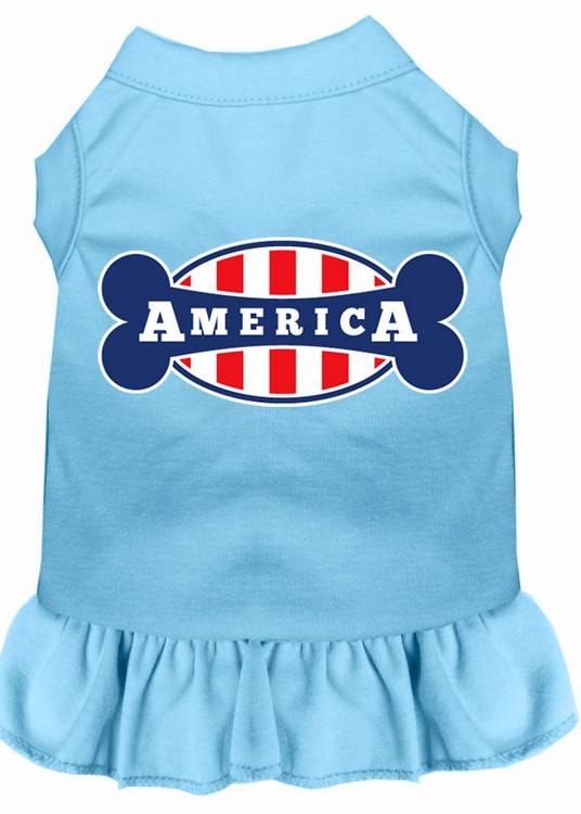 Bonely in America Screen Print Dress Baby Blue XS